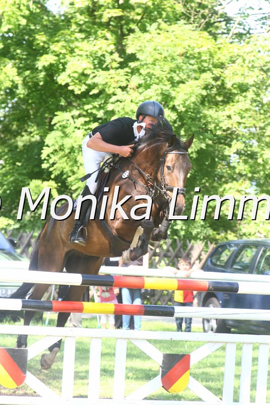 308M1585_Qick Step_Spring Mxx.JPG